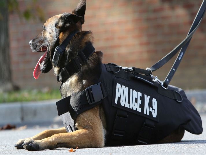 police K9HMPG